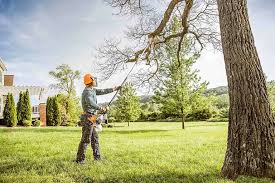 Best Arborist Consultation Services  in Lake Of The Woods, VA